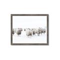 Picture of Sheep Party _GroupedProduct_Rectangle_Landscape_Photography _GroupedProduct_Rectangle_Landscape_Framed_Matted_