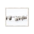 Picture of Sheep Party _GroupedProduct_Rectangle_Landscape_Photography _GroupedProduct_Rectangle_Landscape_Framed_Matted_