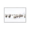 Picture of Sheep Party _GroupedProduct_Rectangle_Landscape_Photography _GroupedProduct_Rectangle_Landscape_Framed_Matted_