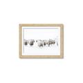 Picture of Sheep Party _GroupedProduct_Rectangle_Landscape_Photography _GroupedProduct_Rectangle_Landscape_Framed_Matted_