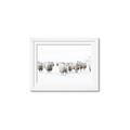 Picture of Sheep Party _GroupedProduct_Rectangle_Landscape_Photography _GroupedProduct_Rectangle_Landscape_Framed_Matted_
