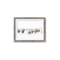 Picture of Sheep Party _GroupedProduct_Rectangle_Landscape_Photography _GroupedProduct_Rectangle_Landscape_Framed_Matted_