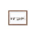 Picture of Sheep Party _GroupedProduct_Rectangle_Landscape_Photography _GroupedProduct_Rectangle_Landscape_Framed_Matted_