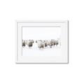 Picture of Sheep Party _GroupedProduct_Rectangle_Landscape_Photography _GroupedProduct_Rectangle_Landscape_Framed_Matted_