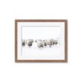 Picture of Sheep Party _GroupedProduct_Rectangle_Landscape_Photography _GroupedProduct_Rectangle_Landscape_Framed_Matted_