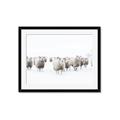 Picture of Sheep Party _GroupedProduct_Rectangle_Landscape_Photography _GroupedProduct_Rectangle_Landscape_Framed_Matted_