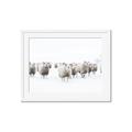 Picture of Sheep Party _GroupedProduct_Rectangle_Landscape_Photography _GroupedProduct_Rectangle_Landscape_Framed_Matted_