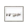 Picture of Sheep Party _GroupedProduct_Rectangle_Landscape_Photography _GroupedProduct_Rectangle_Landscape_Framed_Matted_