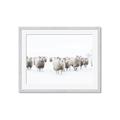 Picture of Sheep Party _GroupedProduct_Rectangle_Landscape_Photography _GroupedProduct_Rectangle_Landscape_Framed_Matted_