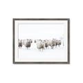 Picture of Sheep Party _GroupedProduct_Rectangle_Landscape_Photography _GroupedProduct_Rectangle_Landscape_Framed_Matted_