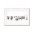 Picture of Sheep Party _GroupedProduct_Rectangle_Landscape_Photography _GroupedProduct_Rectangle_Landscape_Framed_Matted_