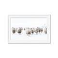 Picture of Sheep Party _GroupedProduct_Rectangle_Landscape_Photography _GroupedProduct_Rectangle_Landscape_Framed_Matted_