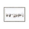 Picture of Sheep Party _GroupedProduct_Rectangle_Landscape_Photography _GroupedProduct_Rectangle_Landscape_Framed_Matted_