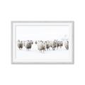 Picture of Sheep Party _GroupedProduct_Rectangle_Landscape_Photography _GroupedProduct_Rectangle_Landscape_Framed_Matted_