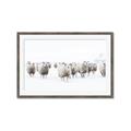 Picture of Sheep Party _GroupedProduct_Rectangle_Landscape_Photography _GroupedProduct_Rectangle_Landscape_Framed_Matted_