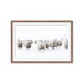 Picture of Sheep Party _GroupedProduct_Rectangle_Landscape_Photography _GroupedProduct_Rectangle_Landscape_Framed_Matted_