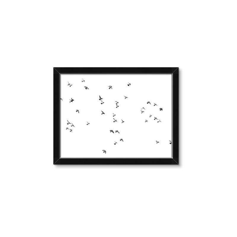 Picture of Flying Birds _GroupedProduct_Rectangle_Landscape_Photography _GroupedProduct_Rectangle_Landscape_Framed_Matted_