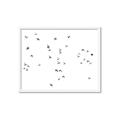 Picture of Flying Birds _GroupedProduct_Rectangle_Landscape_Photography _GroupedProduct_Rectangle_Landscape_Framed_Matted_