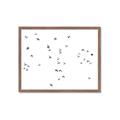 Picture of Flying Birds _GroupedProduct_Rectangle_Landscape_Photography _GroupedProduct_Rectangle_Landscape_Framed_Matted_