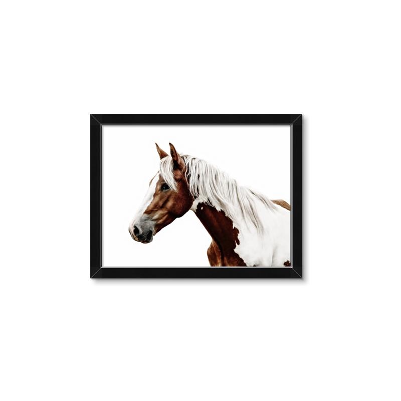 Picture of Spotted Horse _GroupedProduct_Rectangle_Landscape_Photography _GroupedProduct_Rectangle_Landscape_Framed_Matted_