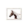 Picture of Spotted Horse _GroupedProduct_Rectangle_Landscape_Photography _GroupedProduct_Rectangle_Landscape_Framed_Matted_