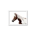 Picture of Spotted Horse _GroupedProduct_Rectangle_Landscape_Photography _GroupedProduct_Rectangle_Landscape_Framed_Matted_