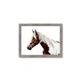 Picture of Spotted Horse _GroupedProduct_Rectangle_Landscape_Photography _GroupedProduct_Rectangle_Landscape_Framed_Matted_