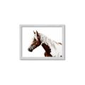 Picture of Spotted Horse _GroupedProduct_Rectangle_Landscape_Photography _GroupedProduct_Rectangle_Landscape_Framed_Matted_