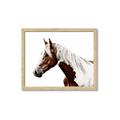 Picture of Spotted Horse _GroupedProduct_Rectangle_Landscape_Photography _GroupedProduct_Rectangle_Landscape_Framed_Matted_