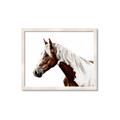 Picture of Spotted Horse _GroupedProduct_Rectangle_Landscape_Photography _GroupedProduct_Rectangle_Landscape_Framed_Matted_