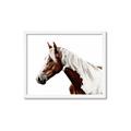 Picture of Spotted Horse _GroupedProduct_Rectangle_Landscape_Photography _GroupedProduct_Rectangle_Landscape_Framed_Matted_