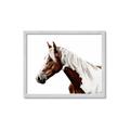 Picture of Spotted Horse _GroupedProduct_Rectangle_Landscape_Photography _GroupedProduct_Rectangle_Landscape_Framed_Matted_