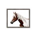 Picture of Spotted Horse _GroupedProduct_Rectangle_Landscape_Photography _GroupedProduct_Rectangle_Landscape_Framed_Matted_
