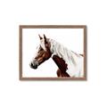 Picture of Spotted Horse _GroupedProduct_Rectangle_Landscape_Photography _GroupedProduct_Rectangle_Landscape_Framed_Matted_