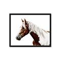 Picture of Spotted Horse _GroupedProduct_Rectangle_Landscape_Photography _GroupedProduct_Rectangle_Landscape_Framed_Matted_