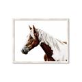 Picture of Spotted Horse _GroupedProduct_Rectangle_Landscape_Photography _GroupedProduct_Rectangle_Landscape_Framed_Matted_