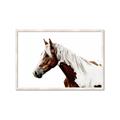 Picture of Spotted Horse _GroupedProduct_Rectangle_Landscape_Photography _GroupedProduct_Rectangle_Landscape_Framed_Matted_