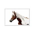 Picture of Spotted Horse _GroupedProduct_Rectangle_Landscape_Photography _GroupedProduct_Rectangle_Landscape_Framed_Matted_