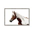 Picture of Spotted Horse _GroupedProduct_Rectangle_Landscape_Photography _GroupedProduct_Rectangle_Landscape_Framed_Matted_