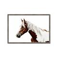 Picture of Spotted Horse _GroupedProduct_Rectangle_Landscape_Photography _GroupedProduct_Rectangle_Landscape_Framed_Matted_