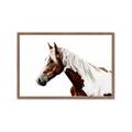 Picture of Spotted Horse _GroupedProduct_Rectangle_Landscape_Photography _GroupedProduct_Rectangle_Landscape_Framed_Matted_