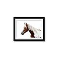 Picture of Spotted Horse _GroupedProduct_Rectangle_Landscape_Photography _GroupedProduct_Rectangle_Landscape_Framed_Matted_