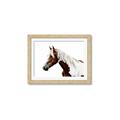Picture of Spotted Horse _GroupedProduct_Rectangle_Landscape_Photography _GroupedProduct_Rectangle_Landscape_Framed_Matted_