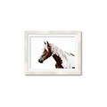 Picture of Spotted Horse _GroupedProduct_Rectangle_Landscape_Photography _GroupedProduct_Rectangle_Landscape_Framed_Matted_