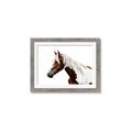 Picture of Spotted Horse _GroupedProduct_Rectangle_Landscape_Photography _GroupedProduct_Rectangle_Landscape_Framed_Matted_