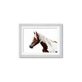 Picture of Spotted Horse _GroupedProduct_Rectangle_Landscape_Photography _GroupedProduct_Rectangle_Landscape_Framed_Matted_