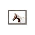 Picture of Spotted Horse _GroupedProduct_Rectangle_Landscape_Photography _GroupedProduct_Rectangle_Landscape_Framed_Matted_