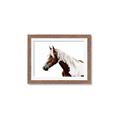 Picture of Spotted Horse _GroupedProduct_Rectangle_Landscape_Photography _GroupedProduct_Rectangle_Landscape_Framed_Matted_