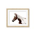 Picture of Spotted Horse _GroupedProduct_Rectangle_Landscape_Photography _GroupedProduct_Rectangle_Landscape_Framed_Matted_