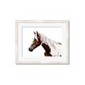 Picture of Spotted Horse _GroupedProduct_Rectangle_Landscape_Photography _GroupedProduct_Rectangle_Landscape_Framed_Matted_
